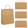 Best Pirce ✔️ 10 1/2" x 5 1/4" x 13" Large Brown Kraft Paper Gift Bags - 12 Pc. ❤️