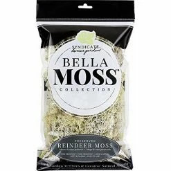 Brand new 👏 Bella Moss 1406121084 Preserved Reindeer Moss, Natural, 80 cu in. 🔔