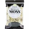 Wholesale ✔️ Bella Moss 1407101082 Preserved Reindeer Moss, Natural, 200 cu in ⭐