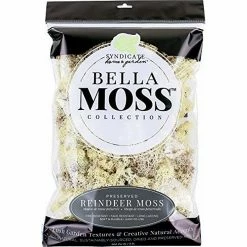 Wholesale ✔️ Bella Moss 1407101082 Preserved Reindeer Moss, Natural, 200 cu in ⭐