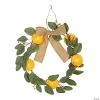 Promo 🌟 Dried Fruit Wreath Craft Kit - Makes 1 ⭐