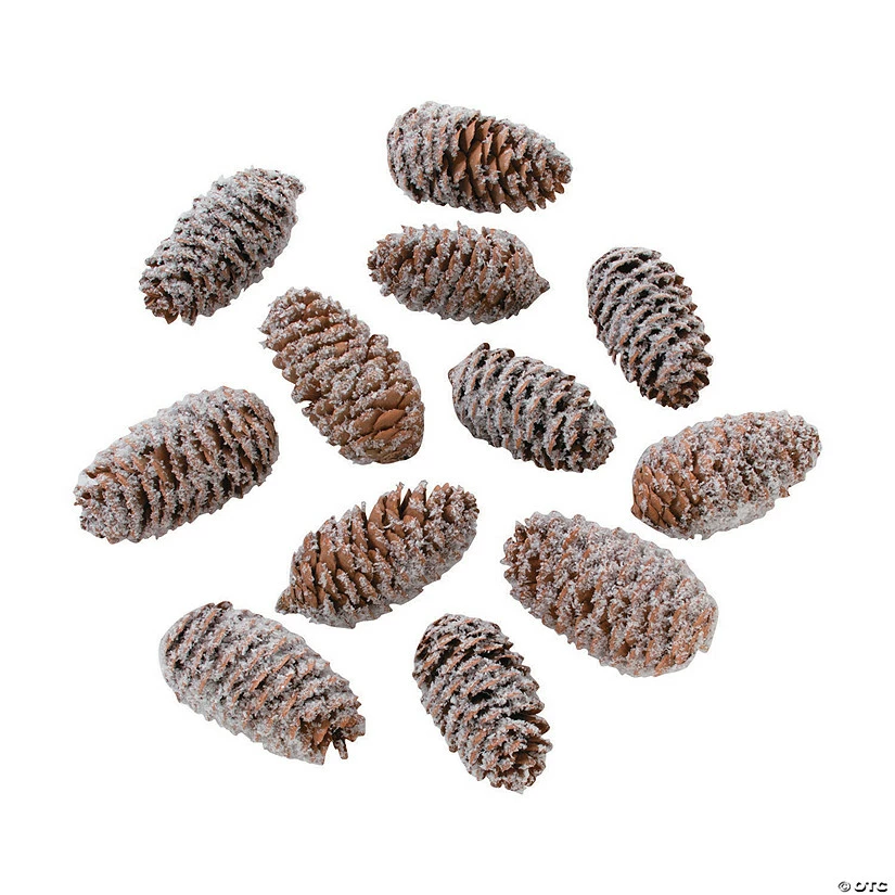 Best Pirce π Frosted Pine Cone Assortment - 12 Pc. π 1 Best Pirce π Frosted Pine Cone Assortment - 12 Pc. π