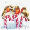 Outlet 🌟 Luca-S - 🎄 Christmas Birds B1154L Counted Cross-Stitch Kit 😍