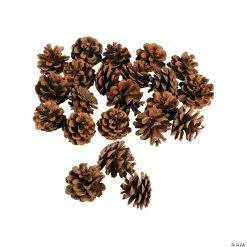 Outlet 🥰 Mini Natural Pinecones - 24 Pc. 🔥