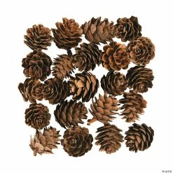 Wholesale ✔️ Mini Pinecones - 24 Pc. 🥰