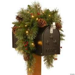 Buy 🌟 National Tree Company 36 in. Colonial Mailbox Swag with Battery Operated Warm White LED Lights 😍