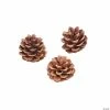 Best reviews of 🔥 Natural Pinecones - 12 Pc. 🛒
