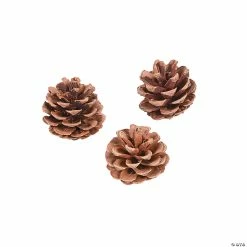Best reviews of 🔥 Natural Pinecones - 12 Pc. 🛒