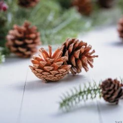 Best reviews of 🔥 Natural Pinecones - 12 Pc. 🛒 -Cheap Christmas Crafts Store natural pinecones 12 pc 13751507 a02