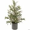 Best Sale ⌛ Northlight 24" Green and White Berry 🎄 Christmas Potted Artificial Plant with Glitter Frost 😍
