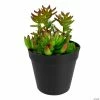 Hot Sale 🎁 Northlight 8" Green and Red Artificial Mixed Succulent Plant Arrangement 😉