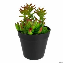 Hot Sale 🎁 Northlight 8" Green and Red Artificial Mixed Succulent Plant Arrangement 😉