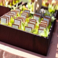 Coupon 🎉 Super Moss 21669 Reindeer Moss Preserved, Chartreuse, 8oz (200 cubic inch) 😍 -Cheap Christmas Crafts Store super moss 21669 reindeer moss preserved chartreuse 8oz 200 cubic inch14244891 a02NOWA