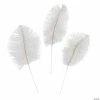 Coupon 🔔 White Ostrich Feathers - 24 Pc. ❤️